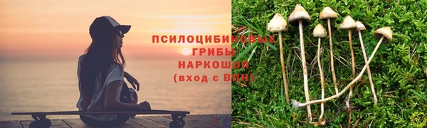 круглые Козловка